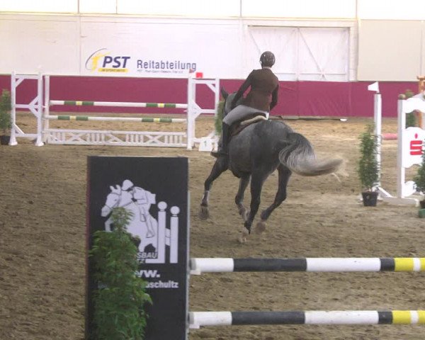 Reitturnier Trier - Hofgut Monaise 2017