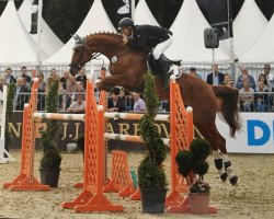 jumper Elbaacky S (Hanoverian, 2010, from Escudo I)