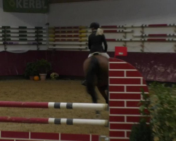 Reitturnier Eicherloh RH Laurent 2017