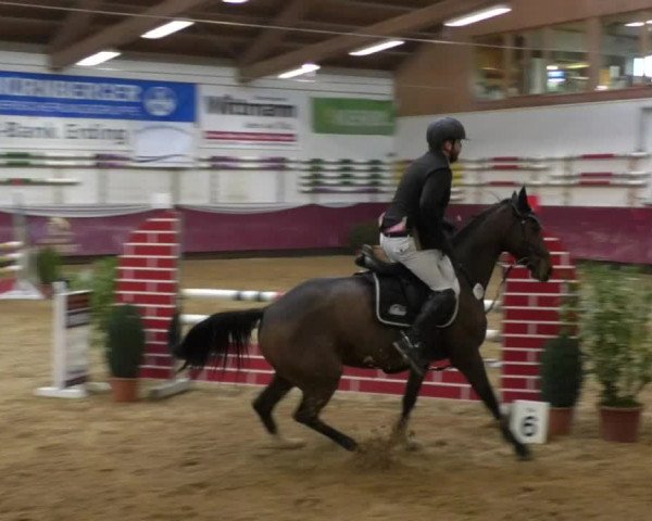 Reitturnier Eicherloh RH Laurent 2017