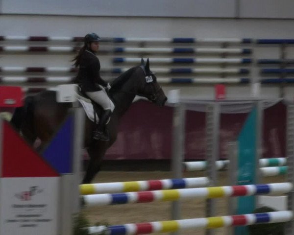 Reitturnier Eicherloh RH Laurent 2017