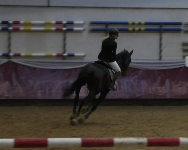 Reitturnier Eicherloh RH Laurent 2017