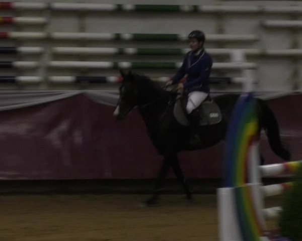 Reitturnier Eicherloh RH Laurent 2017