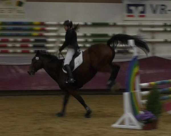 Reitturnier Eicherloh RH Laurent 2017