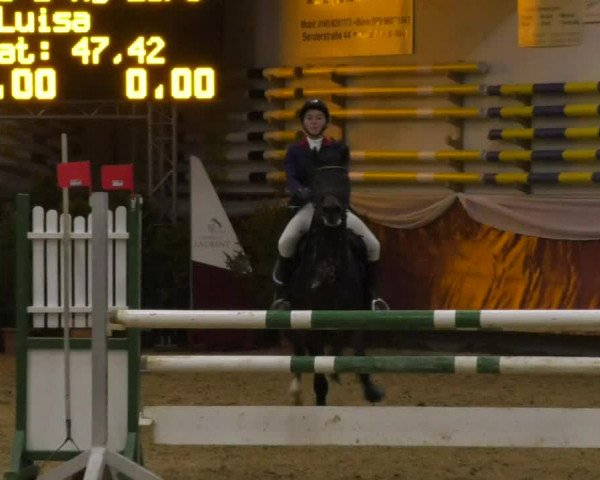 Reitturnier Eicherloh RH Laurent 2017