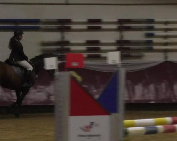 Reitturnier Eicherloh RH Laurent 2017