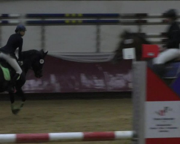 Reitturnier Eicherloh RH Laurent 2017