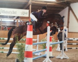 dressage horse Kleiner Lord 11 (Holsteiner, 2006, from Lucky Champ)