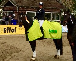 dressage horse Rosenfürst 6 (Austrian Warmblood, 2009, from Auheim's Rhaposario)