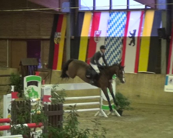 Reitturnier Köln-Leverkusen 2017