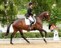 broodmare Santa Karissima (Trakehner, 2008, from Kasimir TSF)