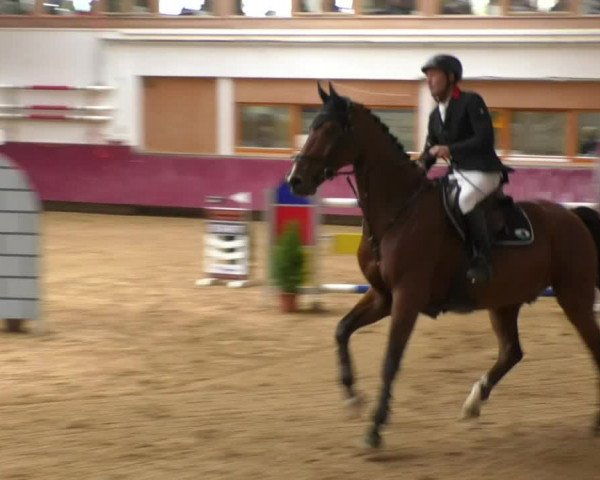 Reitturnier Eicherloh RH Laurent 2017