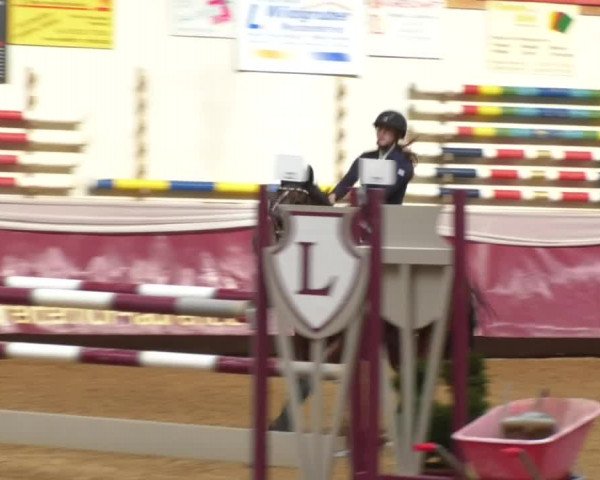 Reitturnier Eicherloh RH Laurent 2017