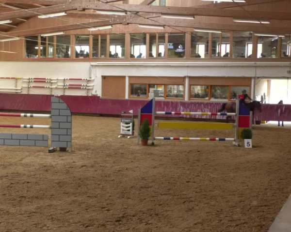 Reitturnier Eicherloh RH Laurent 2017