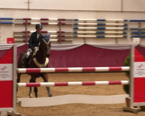 Reitturnier Eicherloh RH Laurent 2017