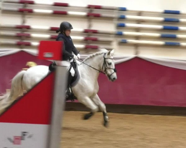 Reitturnier Eicherloh RH Laurent 2017