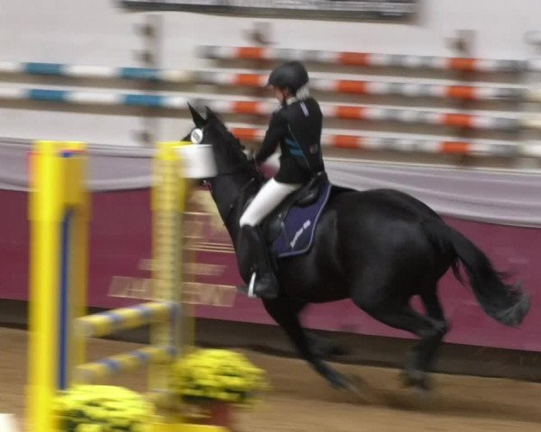 Reitturnier Eicherloh RH Laurent 2017