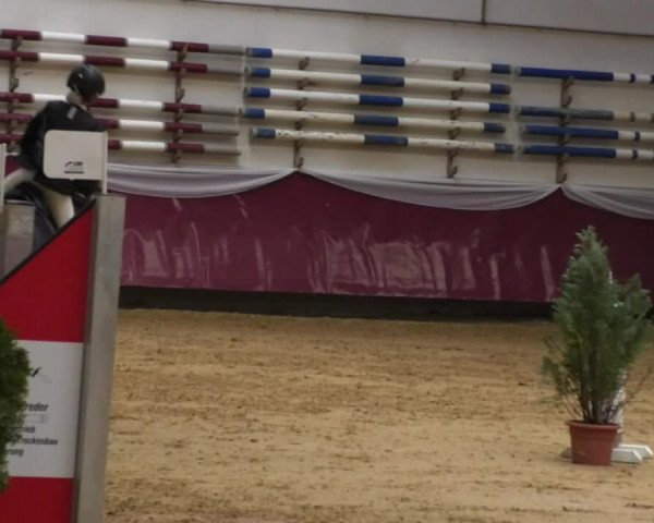 Reitturnier Eicherloh RH Laurent 2017