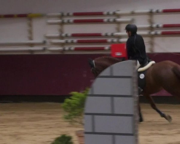 Reitturnier Eicherloh RH Laurent 2017