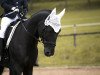 dressage horse Polon 4 (Polish Warmblood, 2004, from Poplon)