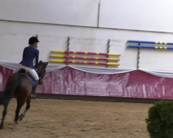 Reitturnier Eicherloh RH Laurent 2017