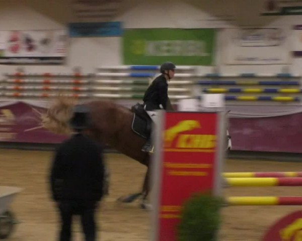 Reitturnier Eicherloh RH Laurent 2017