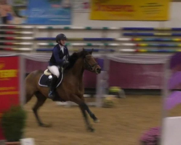 Reitturnier Eicherloh RH Laurent 2017