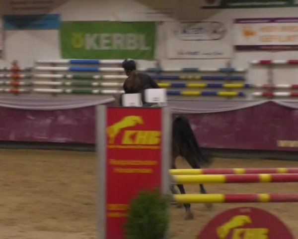 Reitturnier Eicherloh RH Laurent 2017