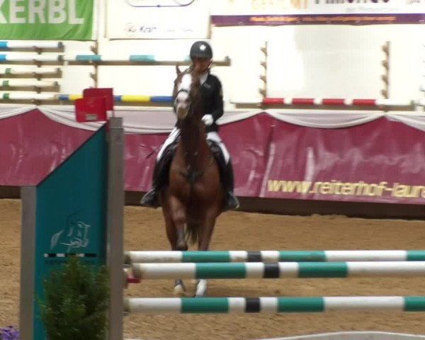 Reitturnier Eicherloh RH Laurent 2017