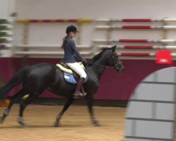 Reitturnier Eicherloh RH Laurent 2017