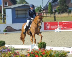 dressage horse Mr. Lou (Westphalian, 2013, from FS Mr. Right)