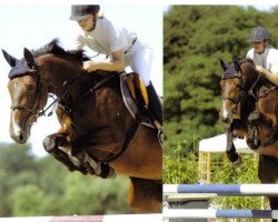 dressage horse Amica (Westphalian, 1998, from Ars Vivendi)