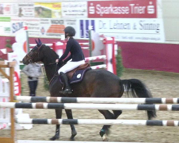 Reitturnier Trier - Hofgut Monaise 2017