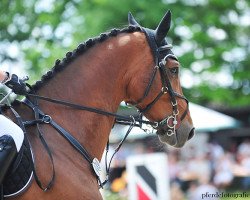 jumper Leandro S 4 (Holsteiner, 2006, from Lerano)