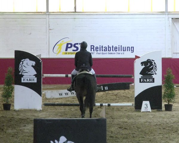 Reitturnier Trier - Hofgut Monaise 2017