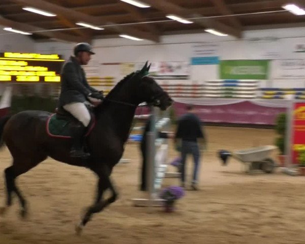 Reitturnier Eicherloh RH Laurent 2017