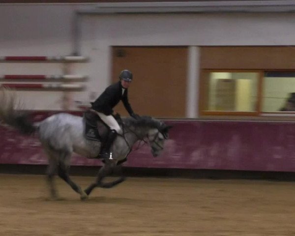 Reitturnier Eicherloh RH Laurent 2017