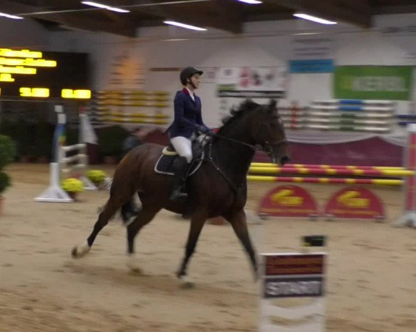 Reitturnier Eicherloh RH Laurent 2017