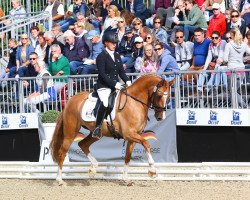 Zuchtstute Schelenburgs Nice Tattoo (Deutsches Reitpony, 2015, von Fs Numero Uno)