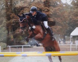 broodmare Clarina 4 (German Sport Horse, 2007, from Clarence C)