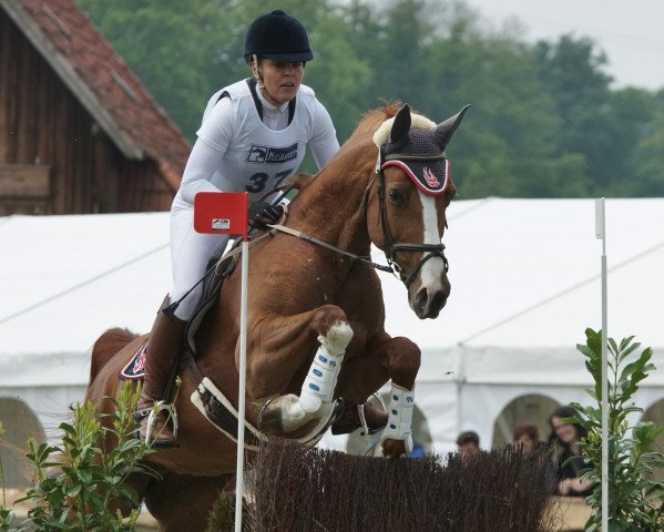 jumper Sapra Lotte (Hanoverian, 2006, from Stand Up 2)
