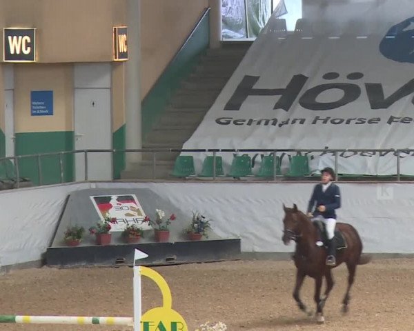 Reitturnier Kreuth 2017