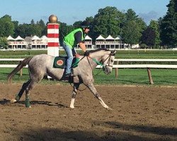 broodmare Heavenly Grace xx (Thoroughbred, 2014, from Tapit xx)