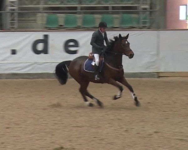 Reitturnier Kreuth 2017
