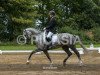 dressage horse Quinta Mare (German Sport Horse, 2008, from Quaterback)