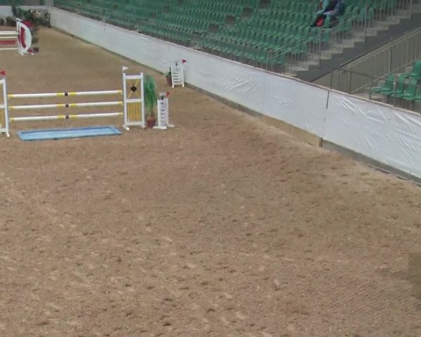 Reitturnier Kreuth 2017