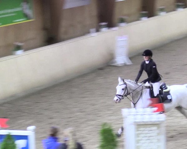 Reitturnier Hövelhof 2017