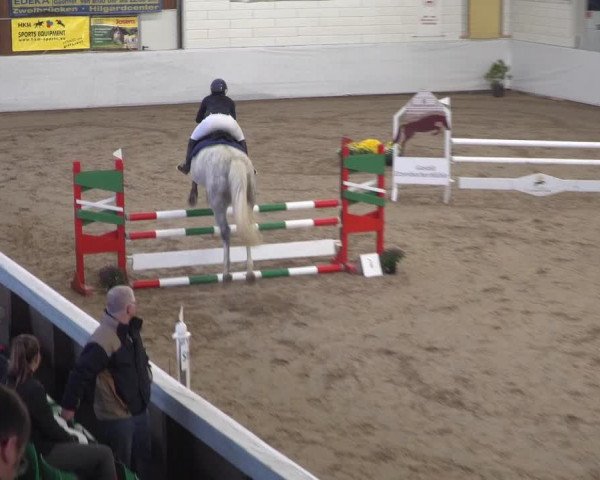 Reitturnier Zweibrücken 2017