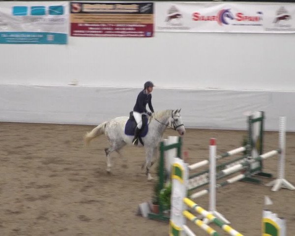 Reitturnier Zweibrücken 2017