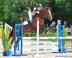 jumper Arancia 3 (Oldenburg show jumper, 2002, from Atego)